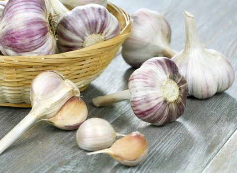 تصویر 4 از قیمت خرید سیر صادراتی درجه یک + فروش ویژه